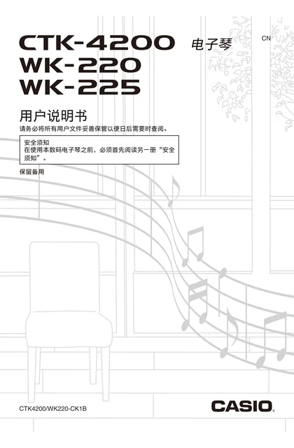 casio 卡西欧 CTK-4200